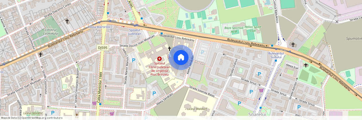 Timis, Timisoara
