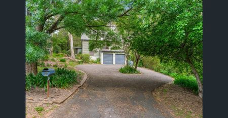 Hidden Gem Nestled Amongst the Trees - Photo 4