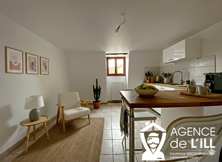 Location Appartement 1 pièce 39m² VILLE 67220 - Photo 5