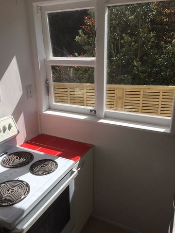 Cosy Kelburn 1BR w/ Deck - Photo 3