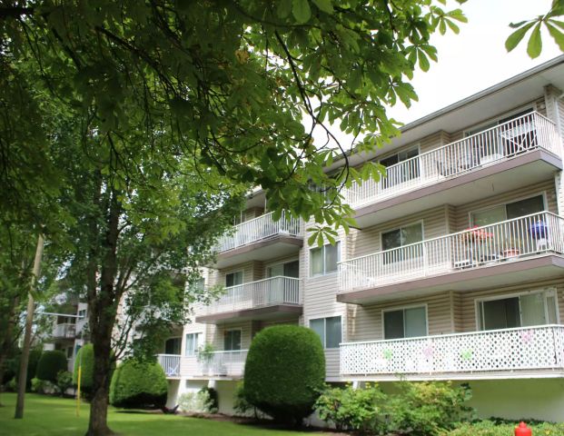 Very Spacious 1,030 Sq. Ft. 2 Bed Apartment For Rent — 119 - Photo 1