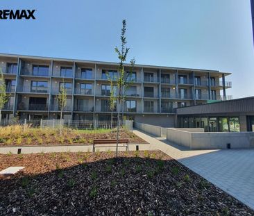 Pronájem bytu 3+kk v osobním vlastnictví 87 m², Brno - Fotografie 4