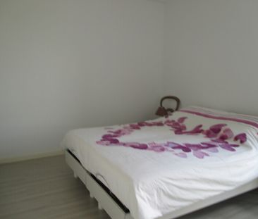 Location Appartement 3 pièces 60m² ST JEAN DE BRAYE 45800 - Photo 4