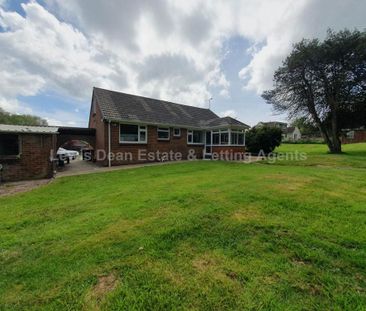 2 bedroom detached bungalow to rent - Photo 6