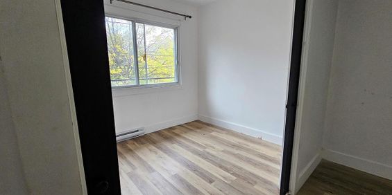 1 CH - 1 SDB - Montréal - $1,275 /mo - Photo 3