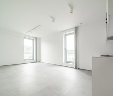 Rue Préixhe 20 Hermalle-sous-argenteau 4681, Hermalle-Sous-Argenteau - Photo 2