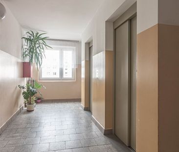 Mieszkanie na wynajem - Photo 6