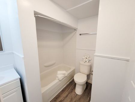 Doubletree Apts - ALL INCLUSIVE - Photo 3