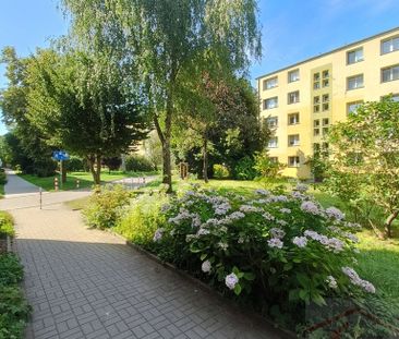 2-pokojowe mieszkanie na wynajem, Pomorzany. (435122) - Photo 6