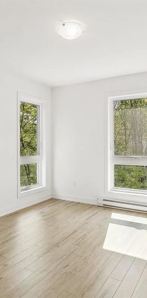 67 Rue Dupuis (Gatineau) Super Appartement 2 Chambres - Photo 1
