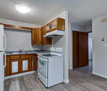 1 Bedroom - Photo 6
