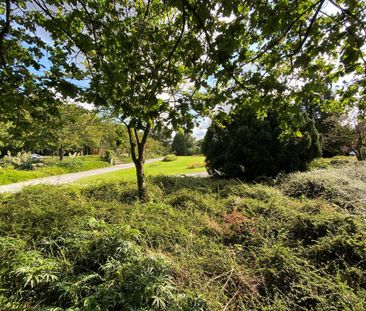 Jozef Israëlsplein 1P - Foto 6