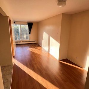 1 CH - 1 SDB - Montréal - $1,146 /mo - Photo 2