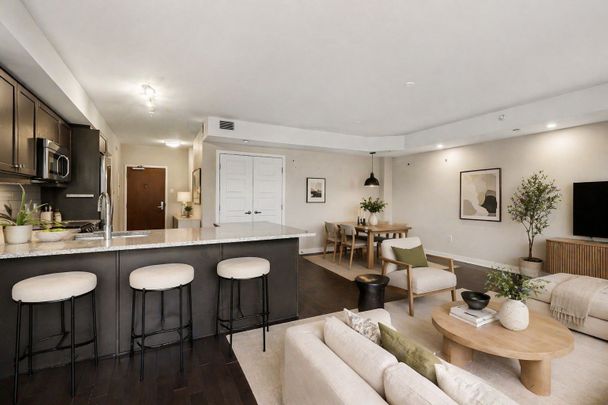 For Lease - 316 Bruyere Street Unit# 418, Lower Town - Sandy Hill, Ontario - Photo 1