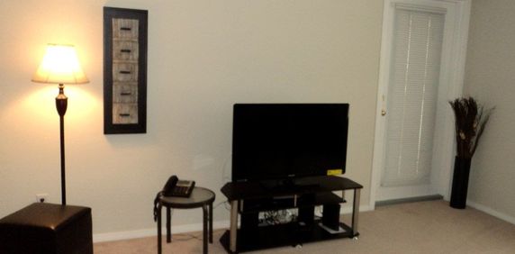 413, 60 Lawford Ave *furnished* - Photo 2