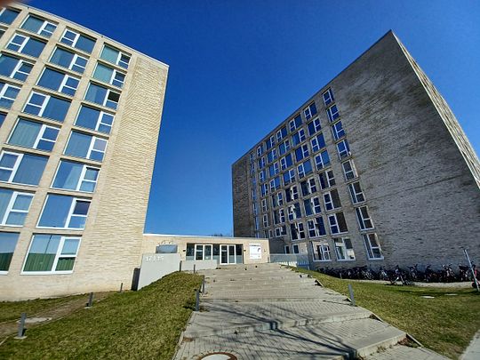 Alle Kosten inklusive! Moderne Mikroapartments für Studenten - Photo 1