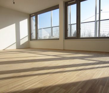 Topzustand wie Erstbezug - Ideale Neubauwohnung mit Freifläche - Foto 4