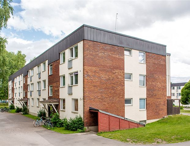 Lilla Trädgårdsgatan 7C - Photo 1