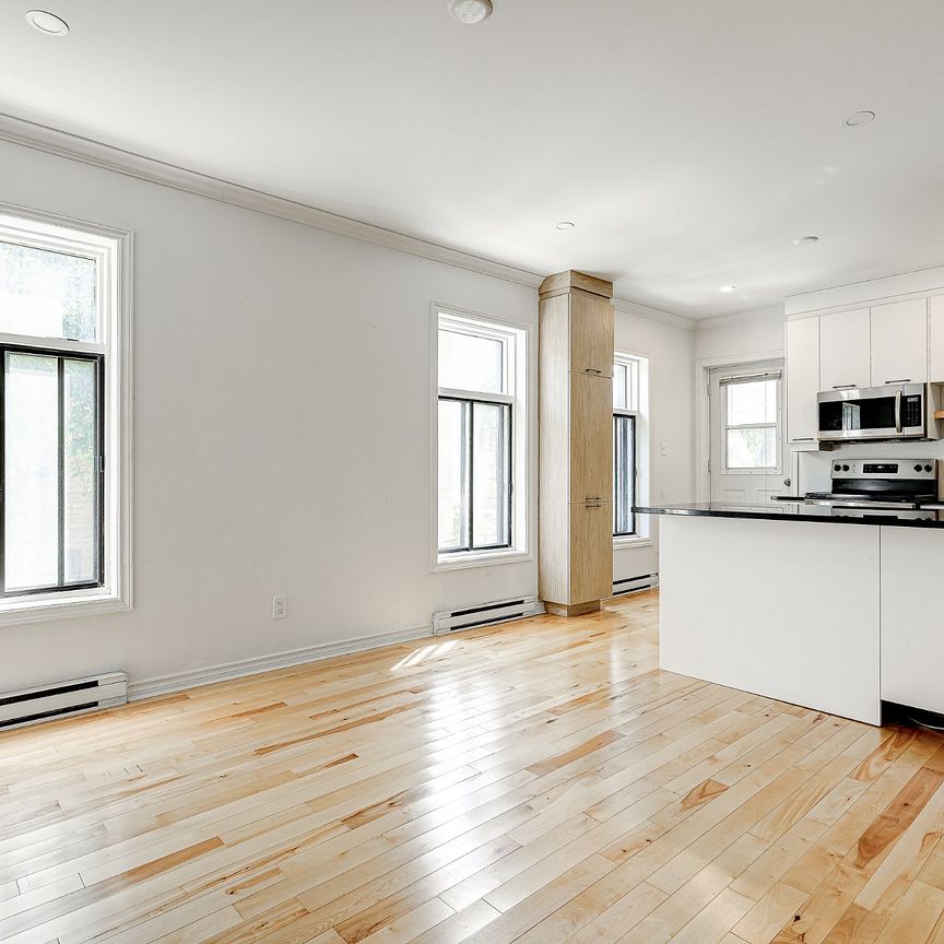 Condo for rent, Montréal (Le Plateau-Mont-Royal) - Photo 1