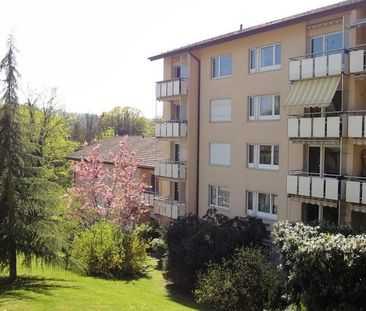 Charmante Wohnung an der Limmat zu vermieten! - Foto 6