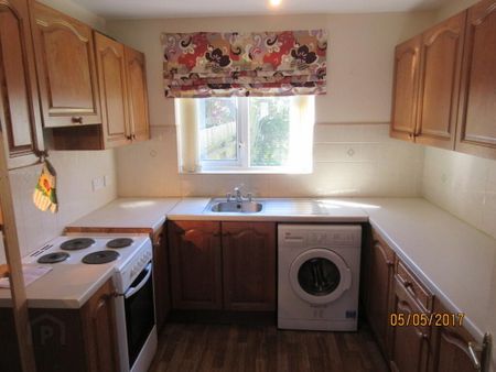 41 Ballylenaghan Heights, Belfast, BT8 6WH - Photo 3