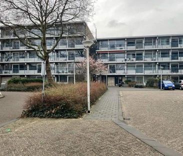 Appartement 2 Chambres Kolfstraat, Purmerend - À Louer - Photo 3