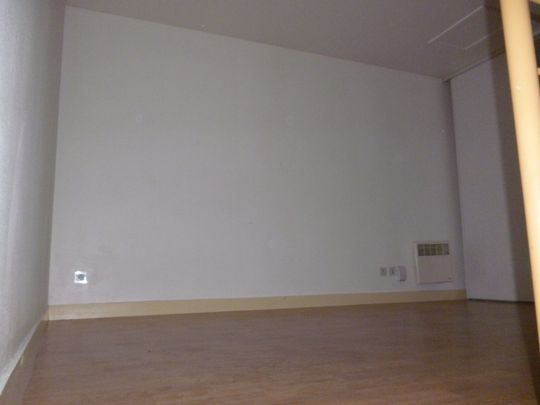 Location Appartement 2 pièces 31m² ORLEANS 45000 - Photo 1