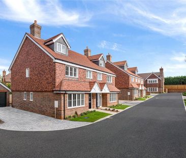 3 bedroom semi-detached house to rent - Photo 3