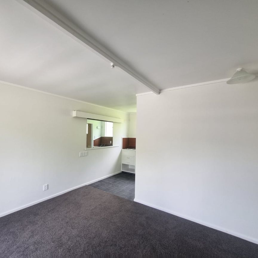 Newly renovated studio in Taihape - Photo 1