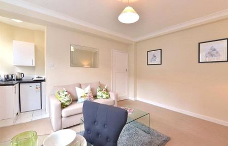 1 bedroom flat with 1 reception and 1 bathroom in Mayfair, W1J - Photo 2