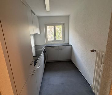 Tolle Singlewohnung am Stadtrand von Zürich - Foto 4