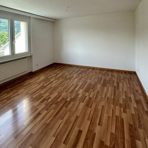 Industriestrasse 18, 9430 St. Margrethen SG - Foto 1