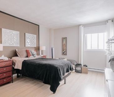 Appartement 3 ½ à louer Sainte-Foy / Sillery juillet 2026 - Photo 2