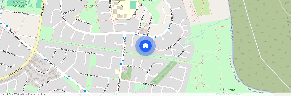 9 Hakea Place, NSW 2564, Macquarie Fields