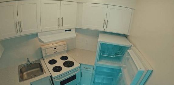 JR ONE BEDROOM! English Bay-$2595 - Photo 2