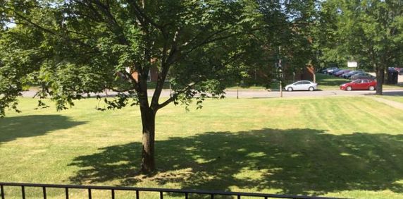 1 CH - 1 SDB - Québec - $827 /mo - Photo 2