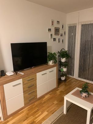 Traumhafte 2-Zimmer-Gartenwohnung mit Terrasse (50,69m²) im Zentrum von Feldbach - Photo 1