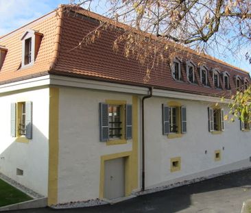 3.5 Zimmer, 87 m² - Foto 2