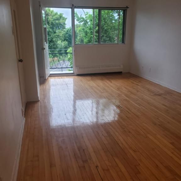 Studio 1 1/2 à louer - Photo 1