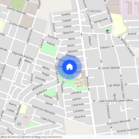 Se departamento Manuel Ordoñez, Colonia Jardines de Santa Catarina, C.P. 66362