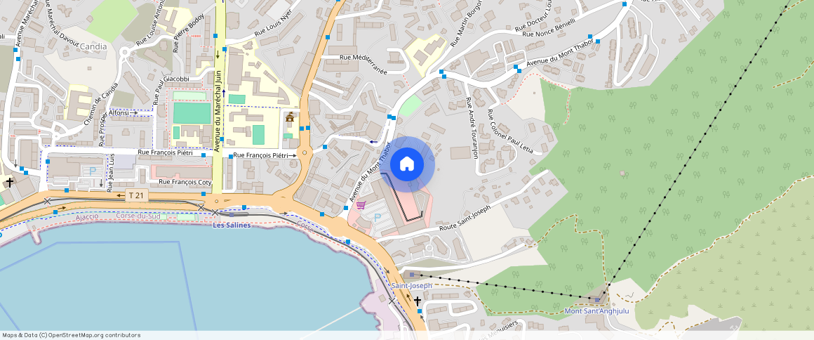 CORSE-DU-SUD (2A), AJACCIO (20090)