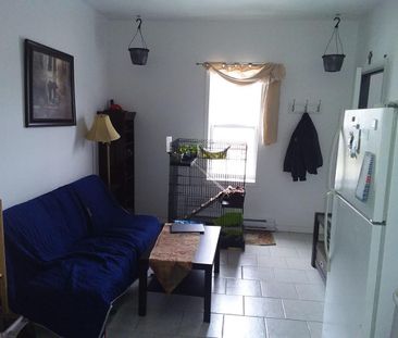 Immeuble - 107-109-111 Queen 3 1/2 Meublé Et Tout Inclus à Louer - Photo 1