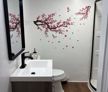 For Lease - 186 Albert Street Unit# B, Belleville, Ontario - Photo 3