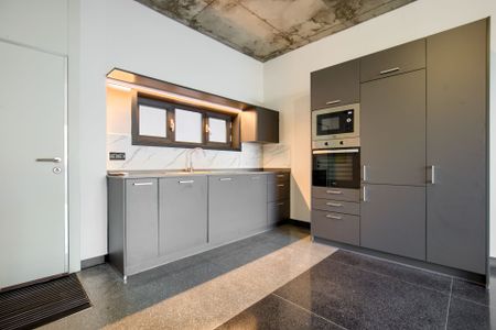 Dúplex de alquiler en Carretera de Fuencarral, Zona Industrial - Photo 4