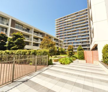 446/8 Ascot Ave., Zetland - Photo 6