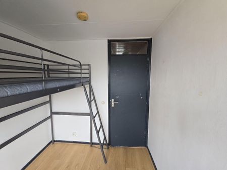 Te huur: Kamer Tangostraat in Nijmegen - Photo 3