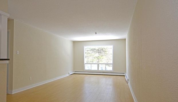 67 & 141 Harlington Crescent - Photo 1