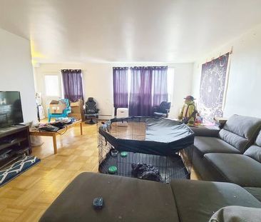 LARGE 1 BEDROOM APARTMENT! - Photo 2