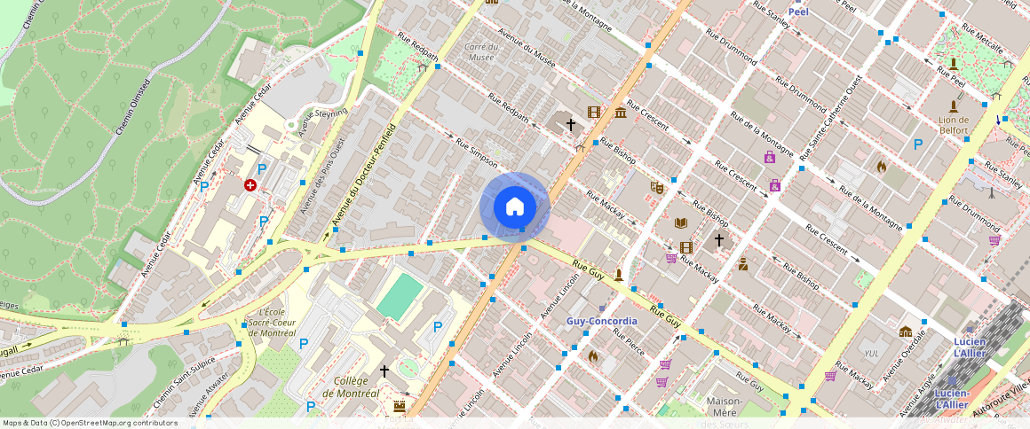 ** Rue Sherbrooke O., app. C, Montréal (Ville-Marie), H3G1L7