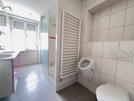 Location Appartement MULHOUSE 820 € CC - Photo 3